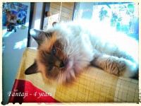 /album/nase-odchovy/a11390082-983734194999661-1163625100532273269-n-jpg/