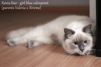 /album/nase-odchovy/a16508896-10212281972074930-2525159044118031120-n-jpg/