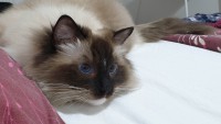 /album/nase-odchovy/20210726-234222-jpg/